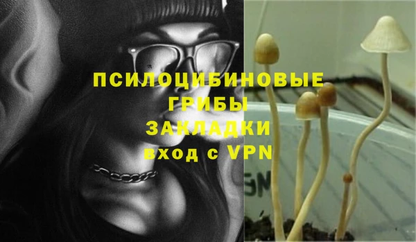 соль ск Арсеньев