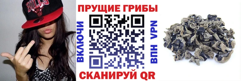 Галлюциногенные грибы ЛСД  купить   Сасово 